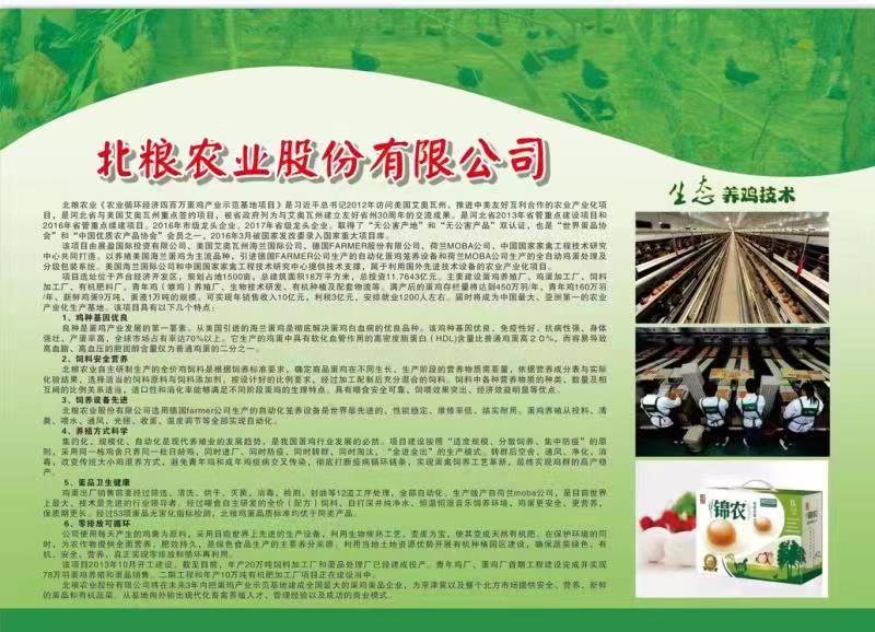 北粮.jpg