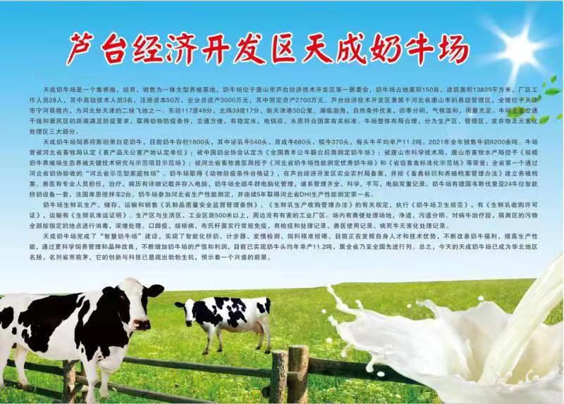 天成.jpg