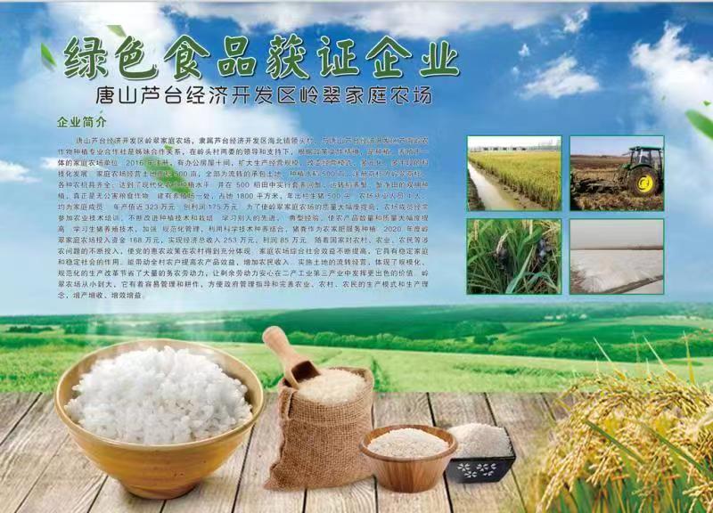 岭翠.jpg