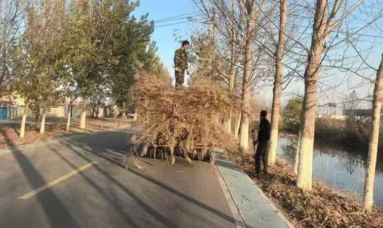 微信图片_20250103090830.jpg