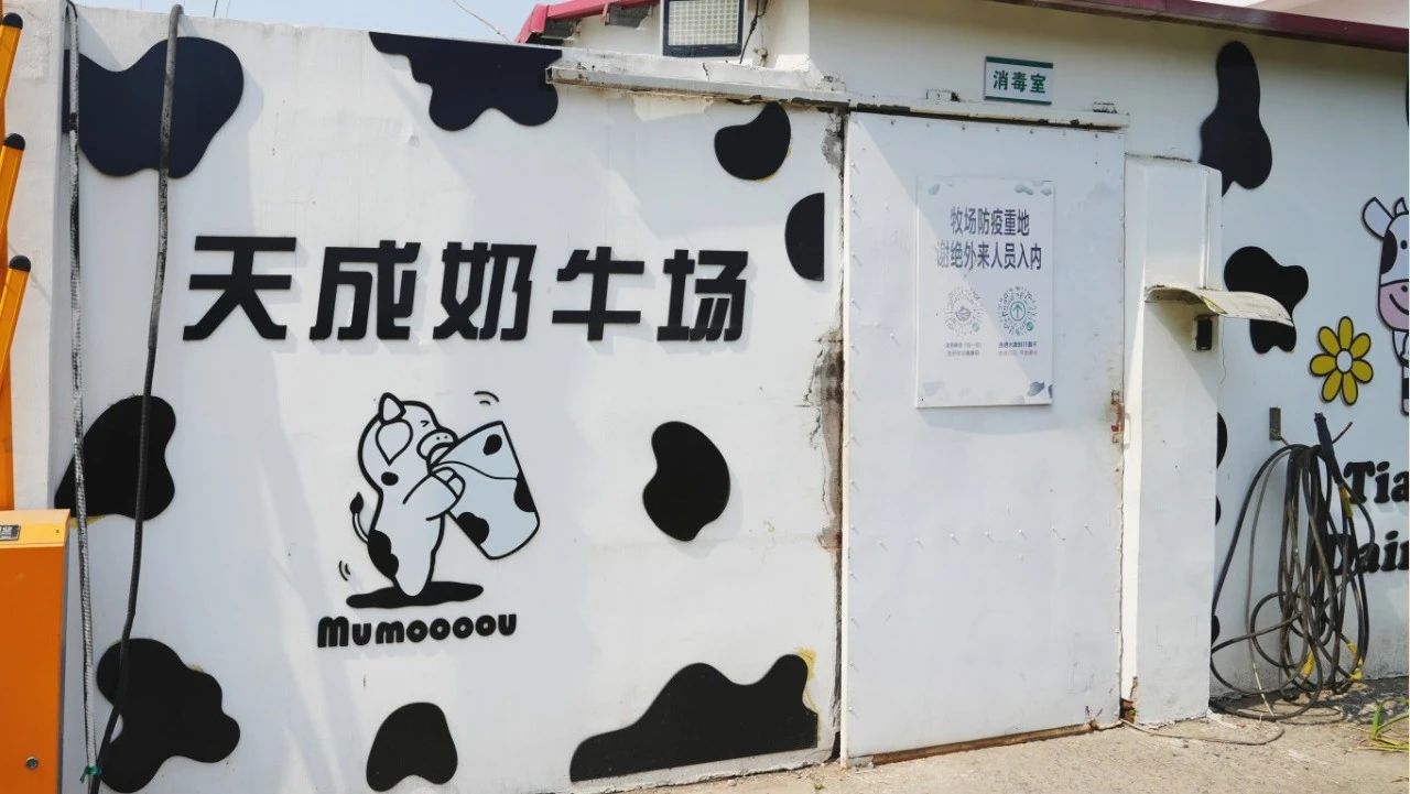 微信图片_20250618150943.jpg