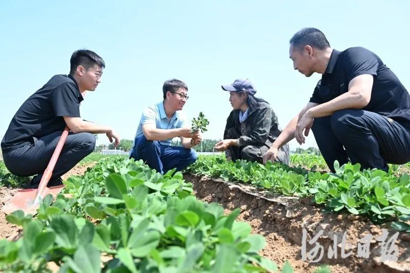 微信图片_20250619100135.jpg