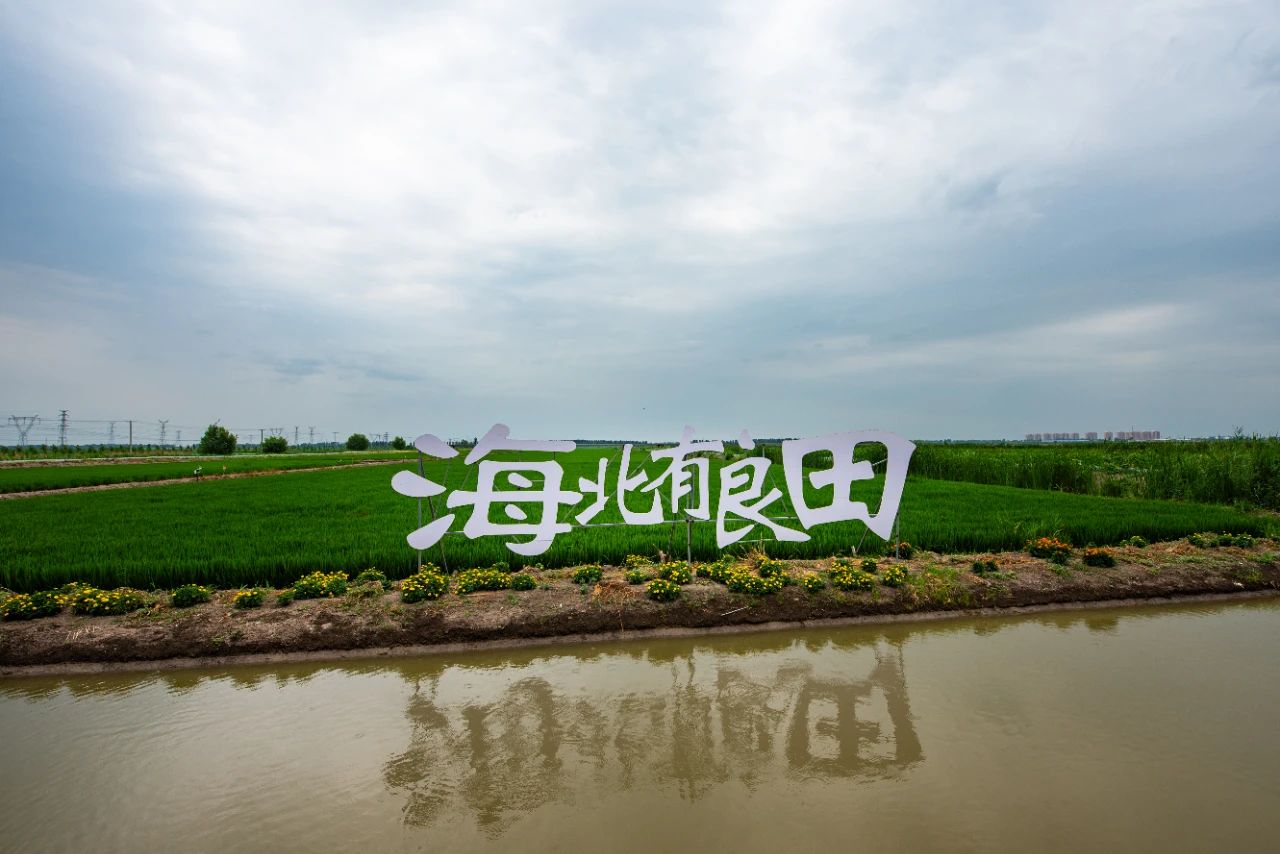 微信图片_20250722091943.jpg