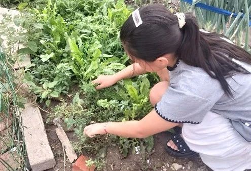 微信图片_2025-08-28_090355_028.jpg
